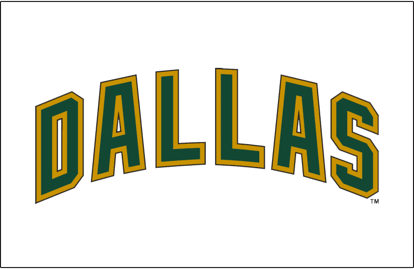 Dallas Stars 2008-2013 Jersey Logo t shirts DIY iron ons